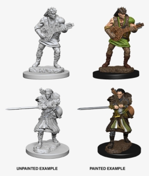 Nolzur's Marvelous Miniatures - Nolzur's Marvelous Miniatures Human Male Bard