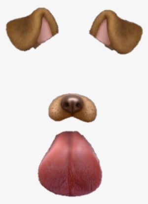 Filtros Tumblr - Snapchat Dog Filter