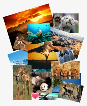 Beautiful - Grand Canyon National Park