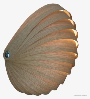 Nautilus Wandlamp-light In The Shape Of A Nautilus - Wandlamp Fineer