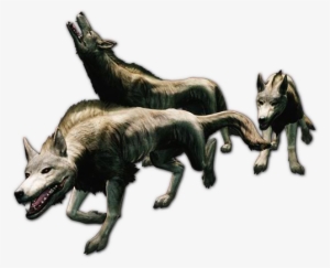 Wolves - Pack Of Wolves Png