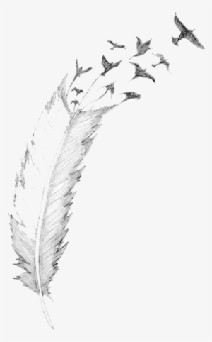 Blog Pluma - Take Those Broken Wings And Learn To Fly Quote