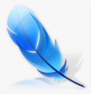 Son Unas Muy Lindas Plumas De Colores Para Decorar - Plumas Con Fondo Transparente