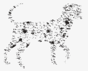 Speckles - Ancient Dog Breeds