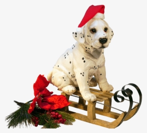 Christmas Dog On A Sledge Png - Christmas Dog Transparent