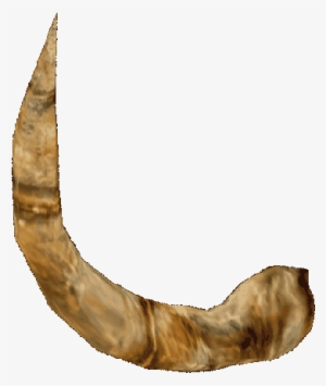 Svg Free Library Horn Elder Scrolls Fandom Powered - Horn Of Minotaur