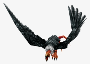 Vulture - Carrion Bird