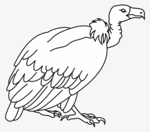 Black Vulture Clipart - Vulture Clipart Black And White Png