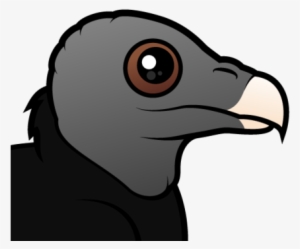 About The American Black Vulture - Eurasian Black Vulture Cartoon