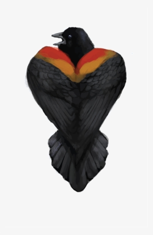 Thank You - Red Winged Blackbird