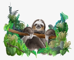 Clipart Royalty Free Library Sloth Euclidean Rainforest