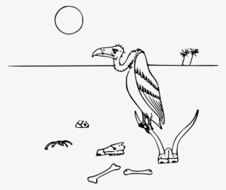 Vulture In The Desert - Desert Drawing With Animals