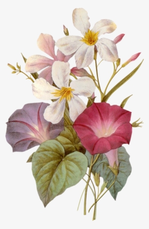 Good Evening Shayari Come