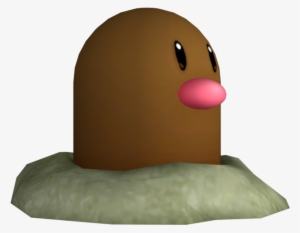 Download Zip Archive - Marine Mammal