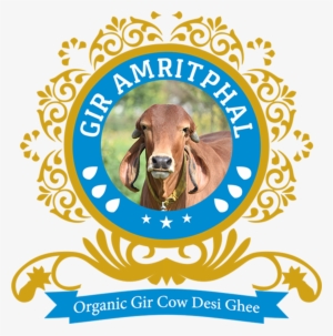 Gir Amritphal - Animal