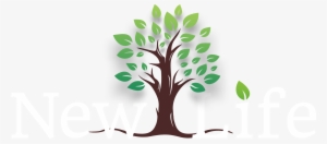 New Life Church - Illustration