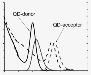 Absorption And Pl Spectra (gray Lines) Pbs Qds With - New Mexico