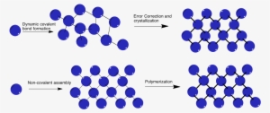 2d Polymerization Under Thermodynamic Control Versus - Covalent Bond Polymer