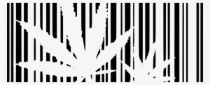 Straight Outta Weed - Illegal