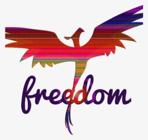 Diana Eren - Bar Tartine Logo