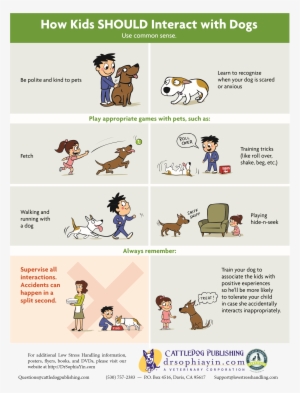 Trackbacks Are Closed, But You Can Post A Comment - Wastong Pag Aalaga Ng Aso