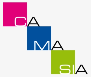 Camasia Logo - Product