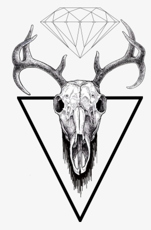 Find Us On Facebook - Stag Skull Clip Art