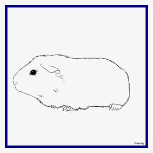 Awesome Easy Guinea Pig Drawing Clipartxtras For Styles - Easy Guinea Pig Drawing