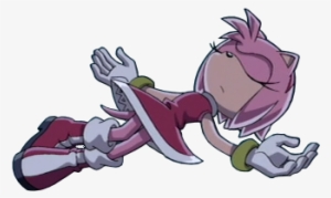 Shadow X Amy Fans Images Amy Rose Sonic X Wallpaper - Amy Rose Sonic X
