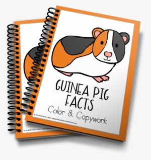 Guinea Pig - Captured Memories Workbook: Looking Back [book]