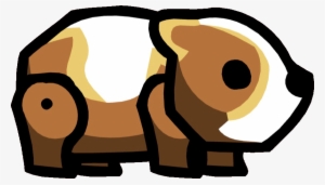 Guinea Pig - Bandicoot