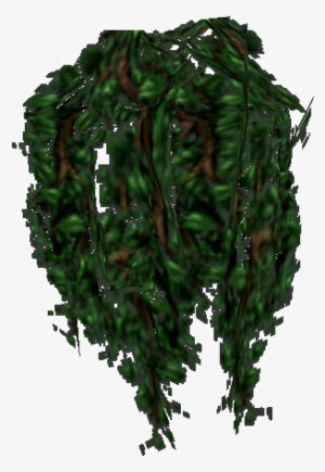 Gamecube Star Fox Adventures - Drawing