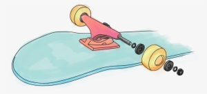 Skateboard Anatomy - Skateboard Wheels And Trucks