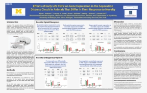 Eaurbach Sfn2011 Final - Sfn Posters On Depression