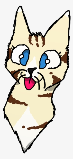 Herp Derp