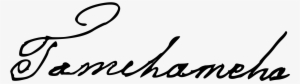“this Does Not Look Like Me” - Tamehameha Signature
