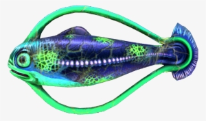 Infected Hoopfish - Portable Network Graphics