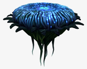 Brine Lily - Brine
