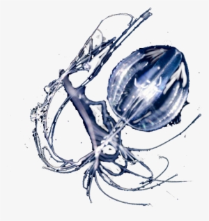 Pleurobrachia - Zooplancton Png