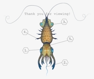 Thank You - Squid