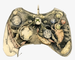 Controller Anatomy - Drawing And Game Designer
