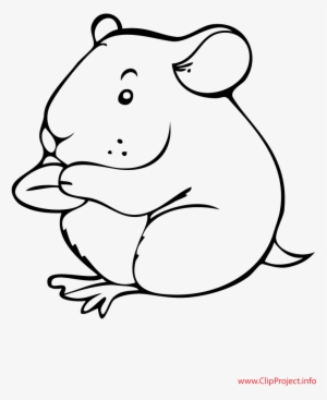 Drawn Hamster Color - Hamster Cartoon Black And White