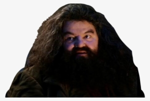 Hagrid Yer A Wizard