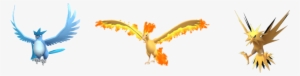 Articuno Transparent Pokemon Go Jpg Black And White - Pokemon Go Teams Mascots