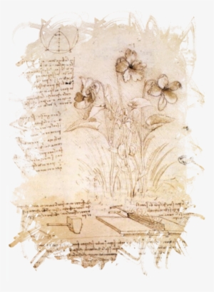 Leonardo Da Vinci,da
