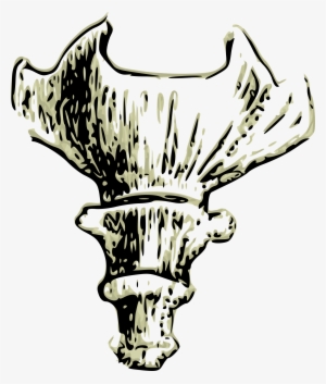 This Free Icons Png Design Of Coccyx Human Tail Bone