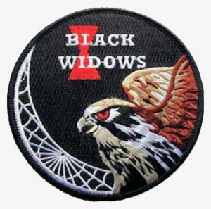 421st Tactical Fighter Squadron F-16 Swirl - Royal Netherlands Air Force