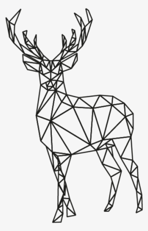 Responsive Image Responsive Image Responsive Image - Sketch