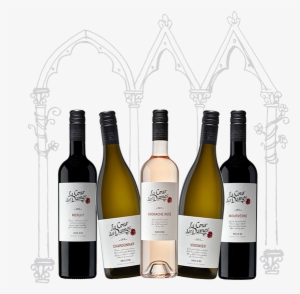 Discover Our Wines - Wine Bottle