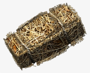 Hearthfire Straw - Skyrim Hay